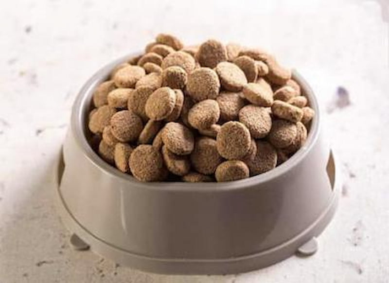 فروش خوراک ماهی