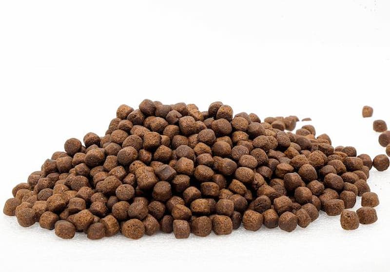 خرید خوراک ماهی