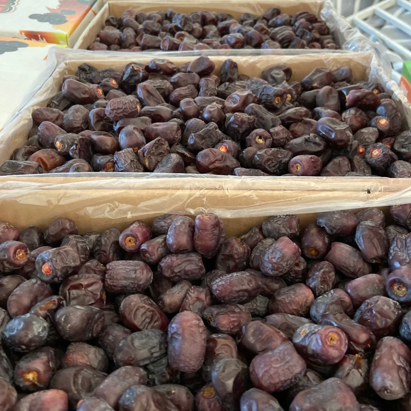 تصویر 3 از صادرات خرمای مضافتی ممتاز + فروش ویژه