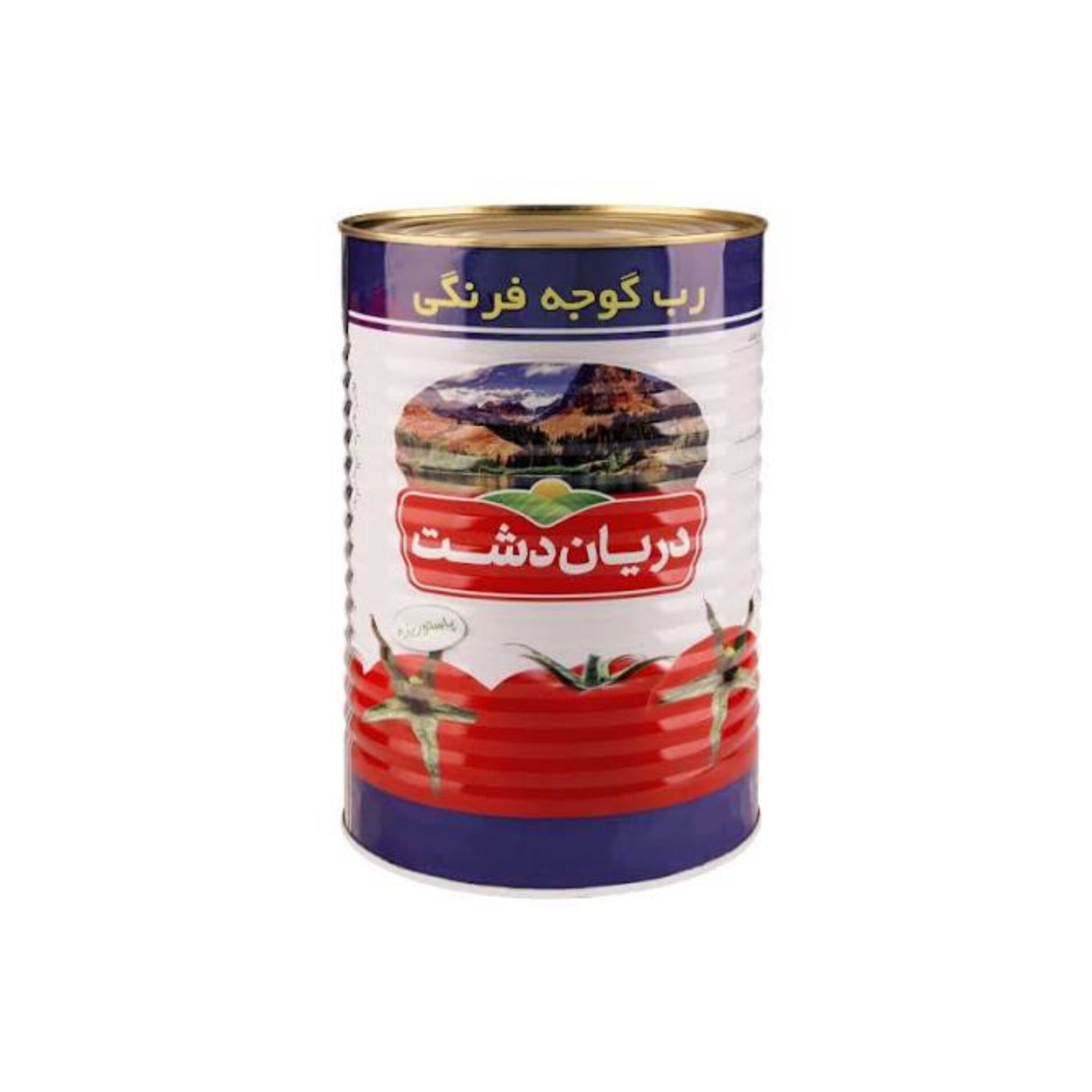 خرید رب گوجه فرنگی دریان دشت با قیمت رقابتی و کیفیت تضمینی