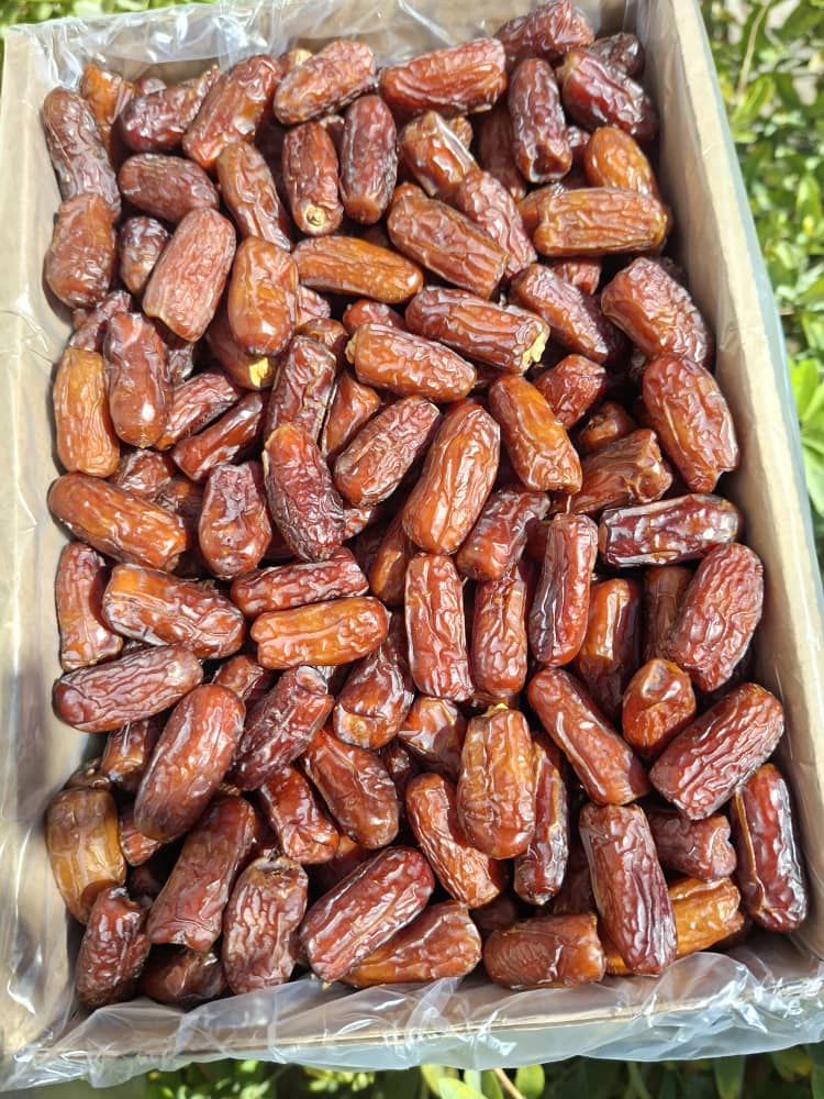 تصویر 5 از خرید خرما پیارم آبدار جنوب با کیفیت صادراتی