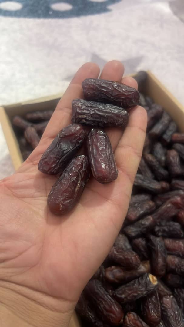 تصویر 4 از خرید خرما پیارم از شرکت معتبر + قیمت عمده