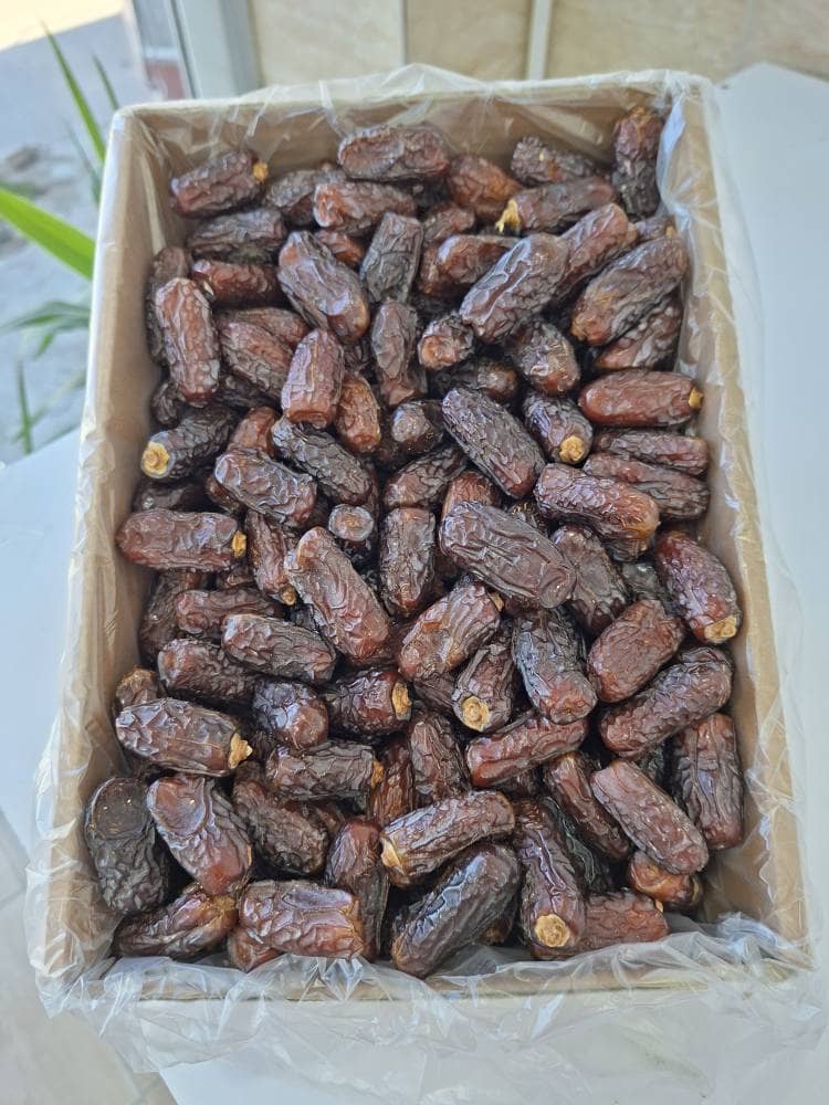 تصویر 4 از بهترین خرما برای تجارت عمده + فروش ویژه