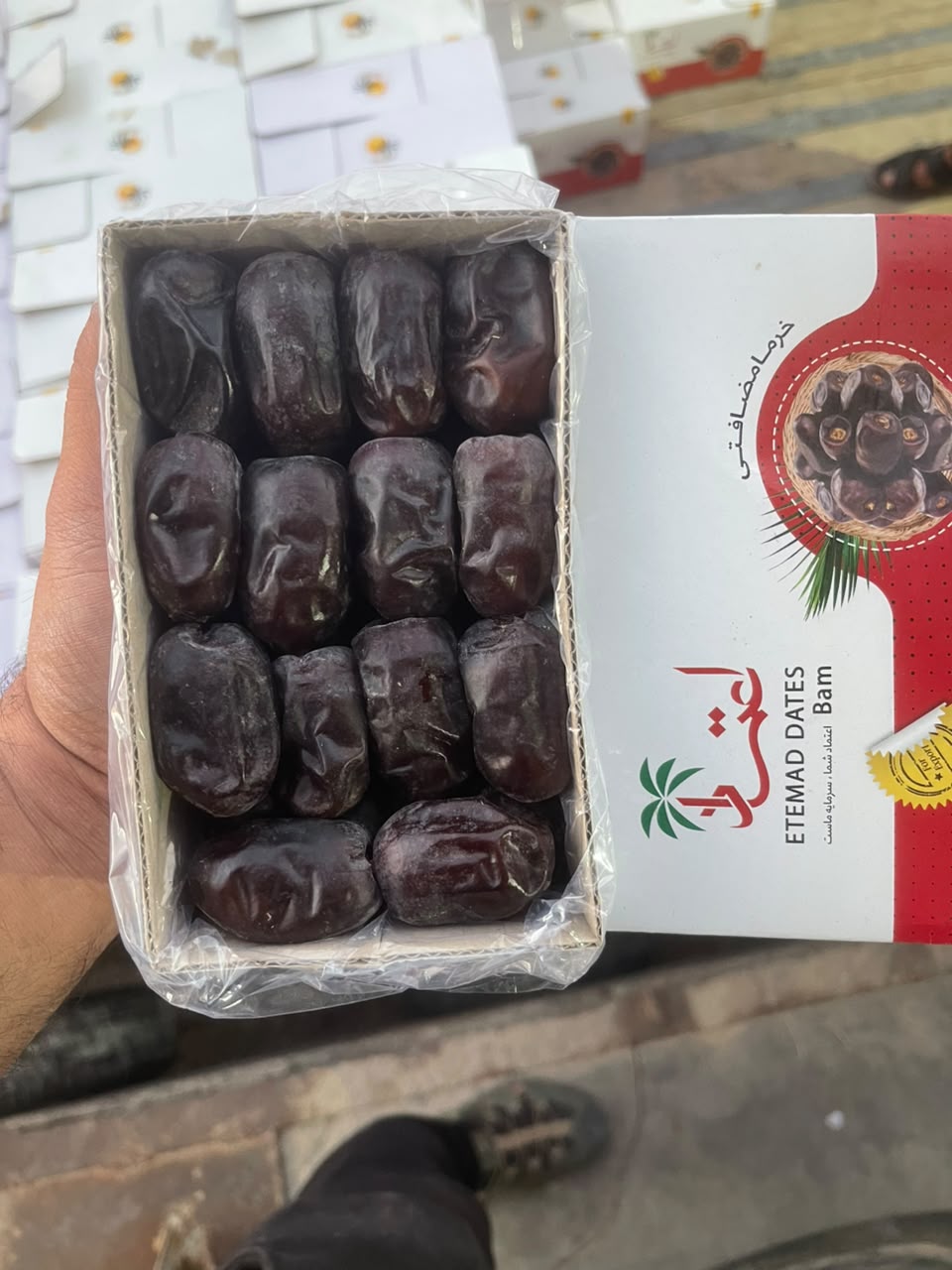 خرید خرما مضافتی فله از تولیدکننده ایرانی