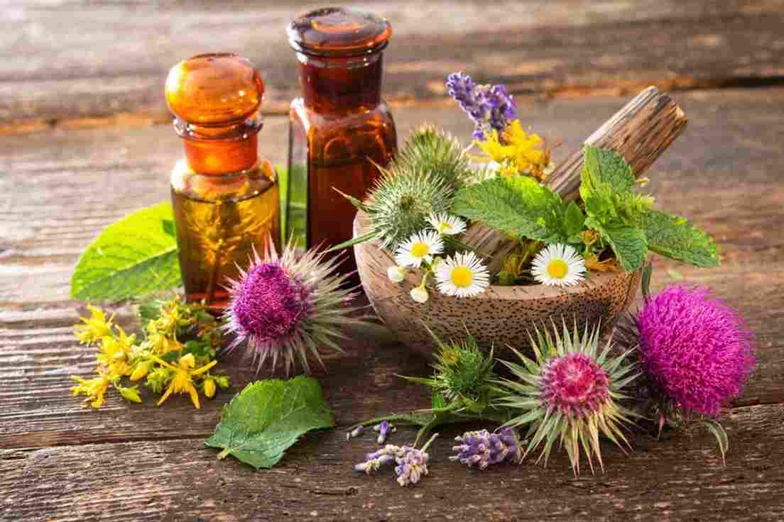 عرق خار مریم برای پاکسازی کبد با کیفیت مطلوب و خلوص بالا