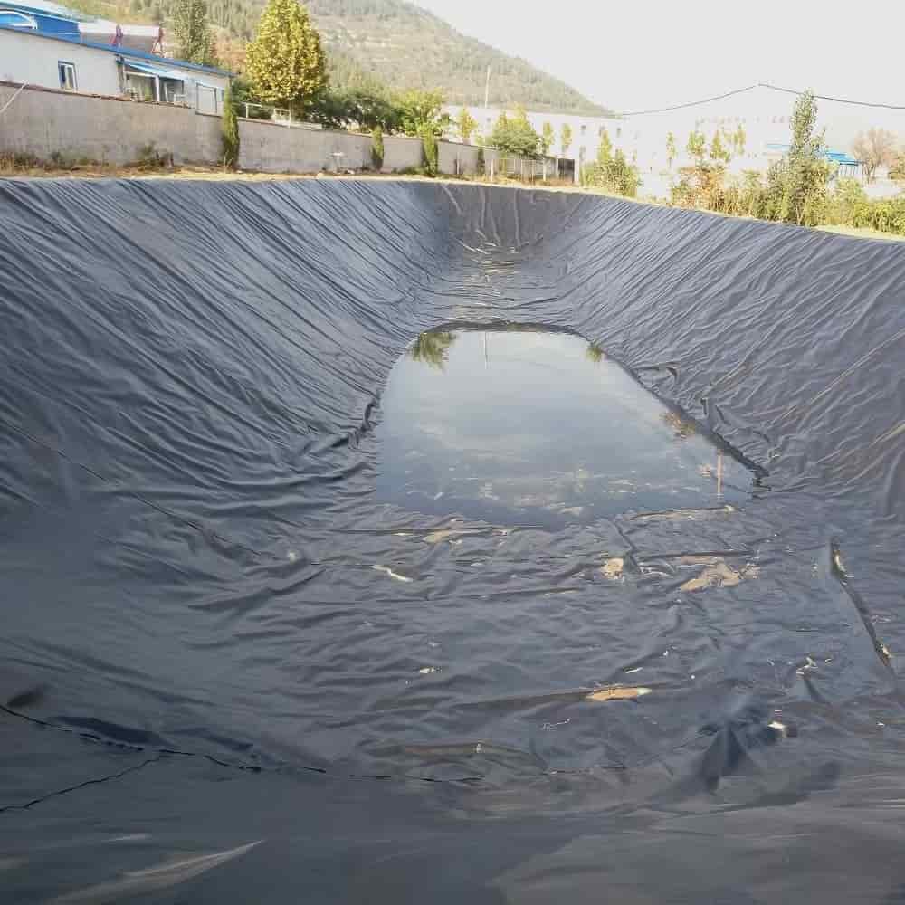 قیمت ورق