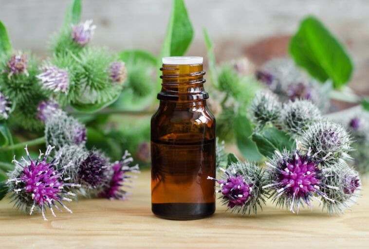 تصویر 3 از عرق خار مریم افشار با بسته بندی استاندارد و کیفیت ماندگار