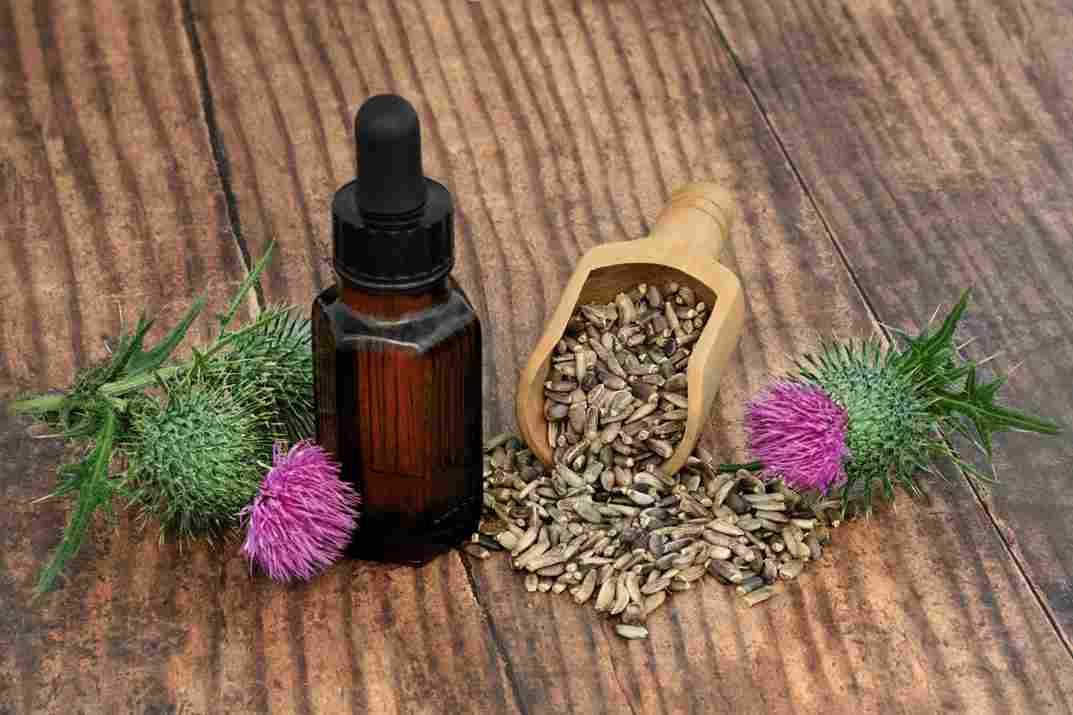 عرق خار مریم برای رحم با حفظ ویژگی های طبیعی گیاه