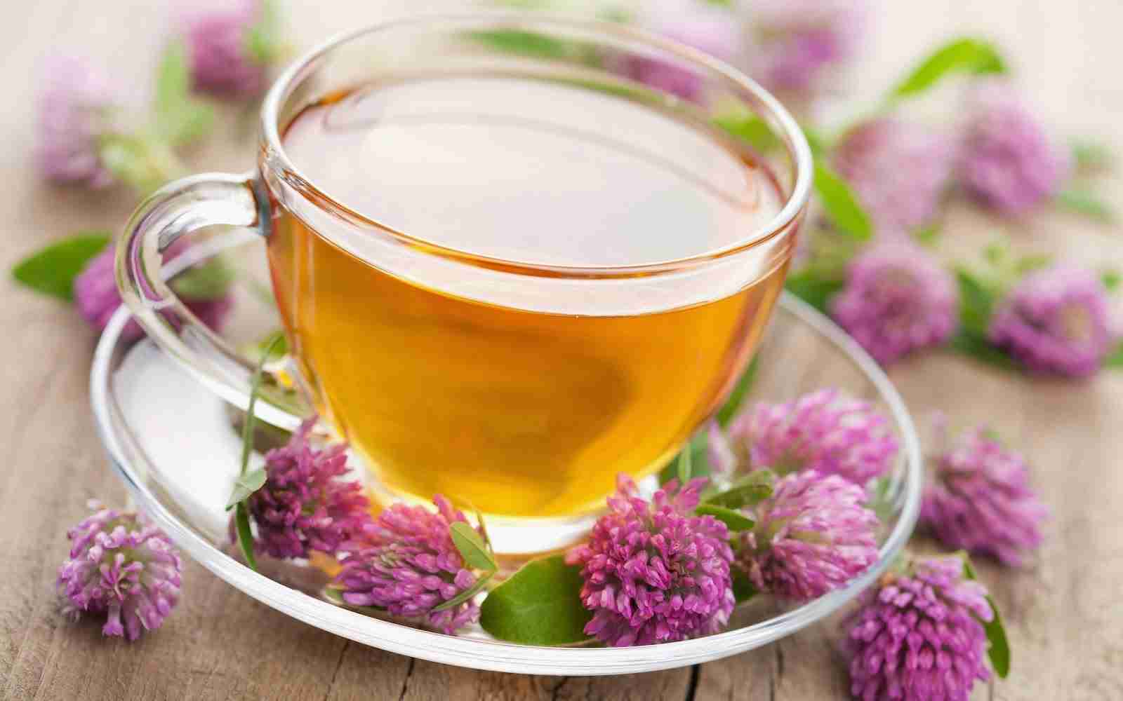 تصویر 3 از عرق خار مریم برای رحم با حفظ ویژگی های طبیعی گیاه