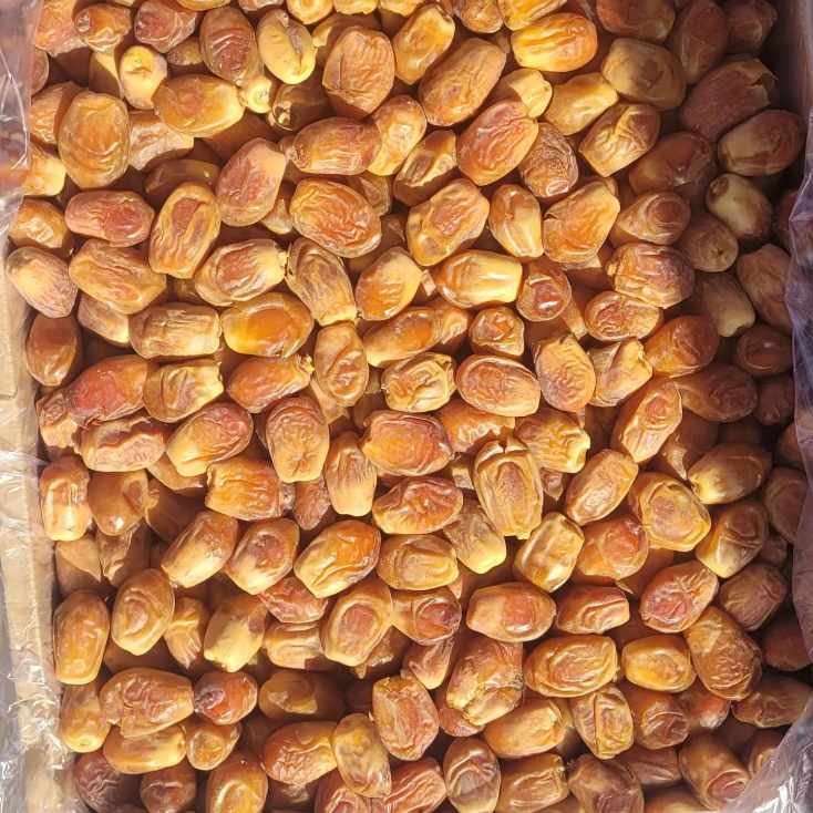 تصویر 1 از تأمین‌کنندگان معتبر خرمای زاهدی بوشهر + قیمت عمده