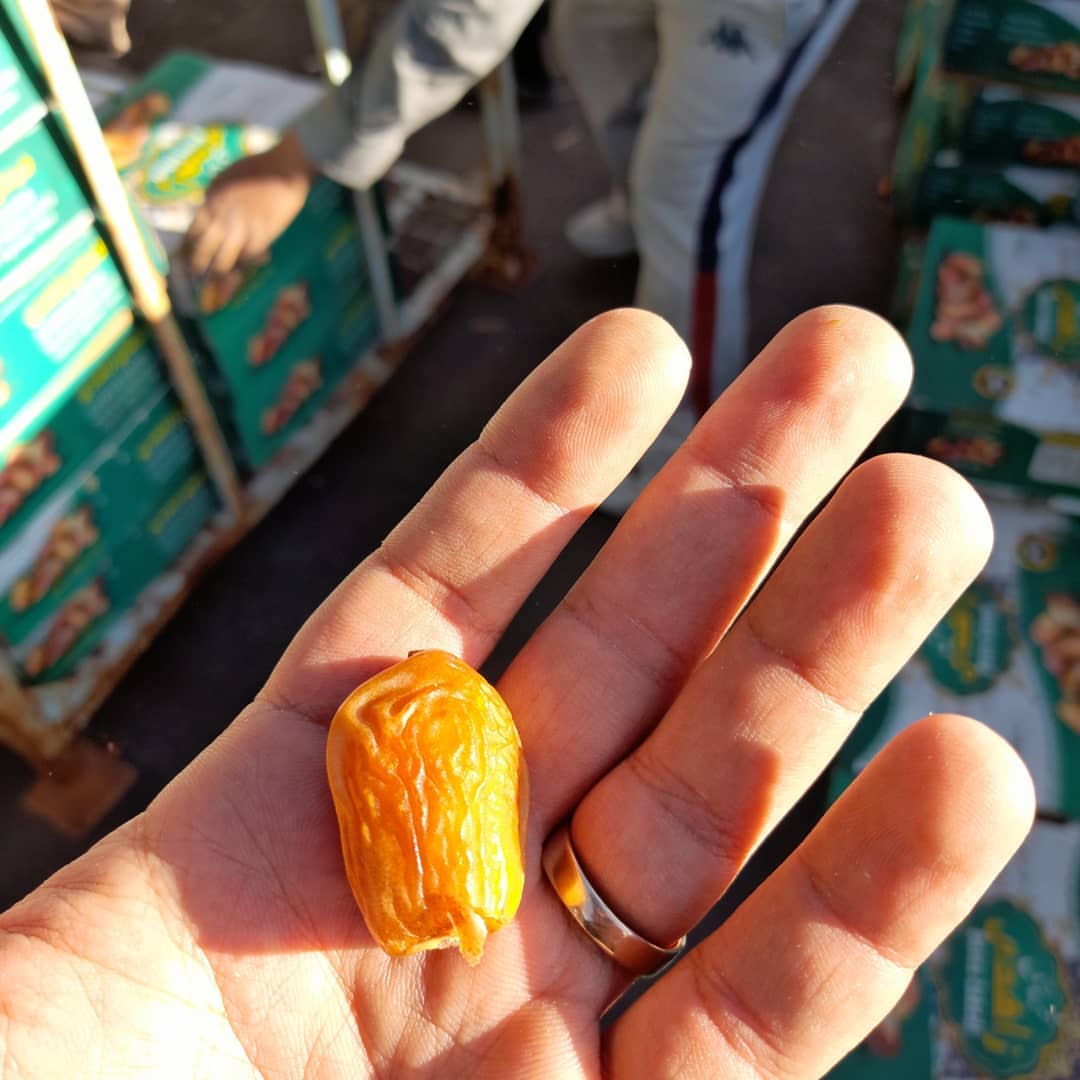 تصویر 3 از تجارت عمده خرما زاهدی صادراتی + قیمت عمده