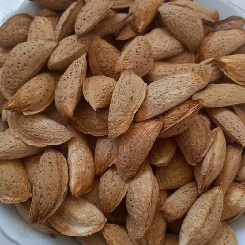 تصویر 3 از بادام مامایی پویا تازه و یکدست جهت مصارف آجیل و شیرینی پزی