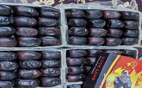 تصویر 4 از خرید خرما مضافتی باکیفیت + قیمت فروش استثنایی