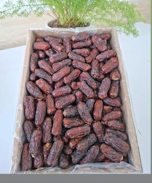 تصویر 2 از خرما پیارم جنوب ایران با کیفیت صادراتی + قیمت عمده