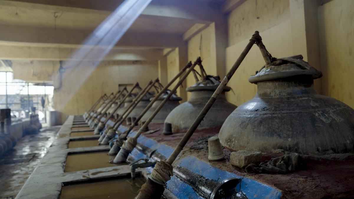 تصویر 4 از عرق بیدمشک برای جوش صورت با فرآوری سنتی و کیفیت مطلوب