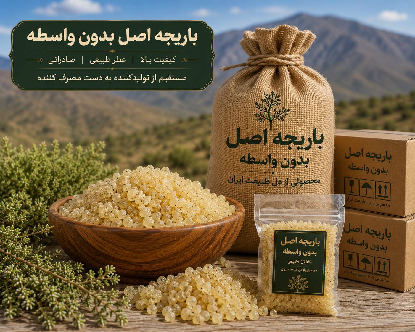 باریجه اصل بدون واسطه