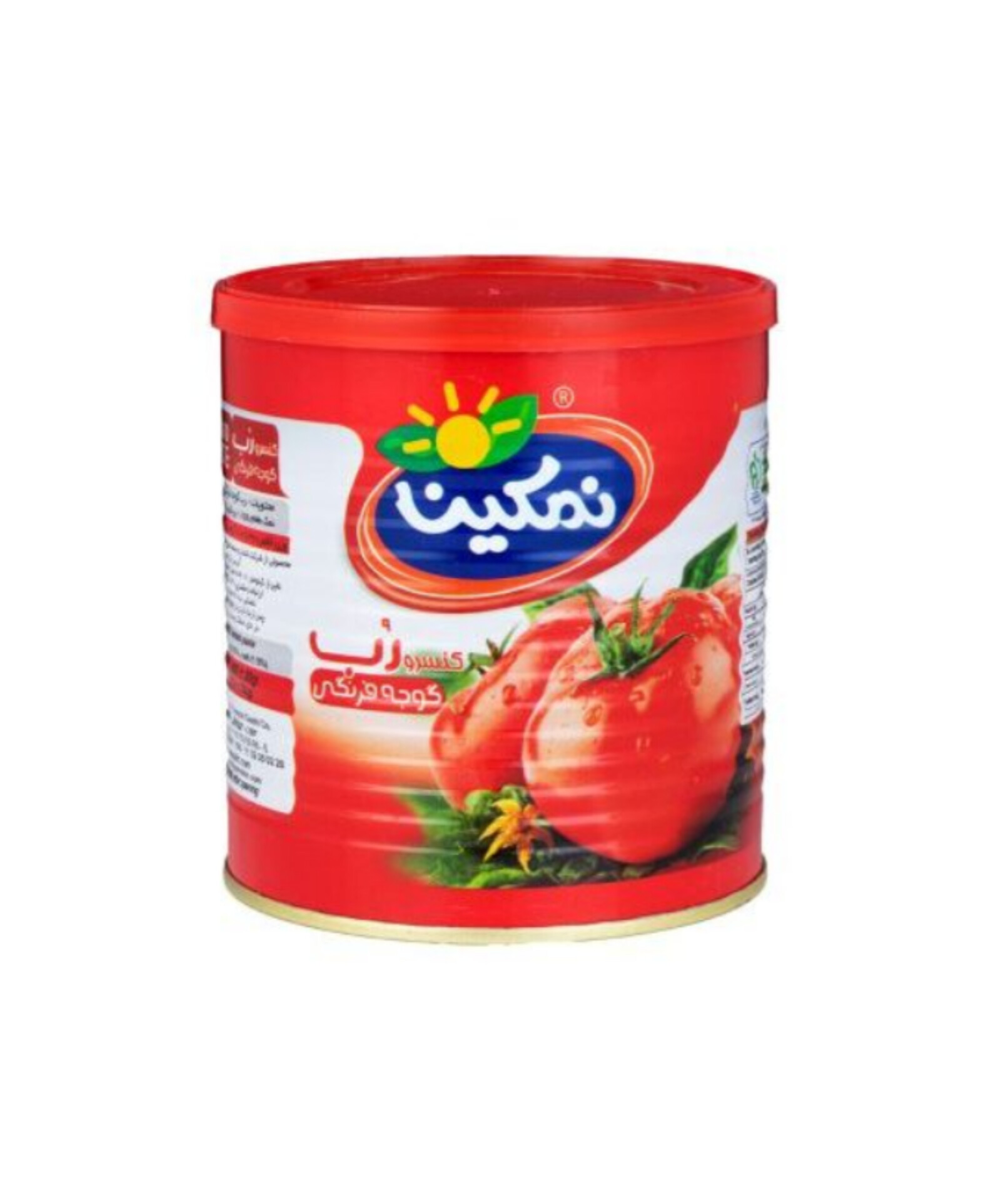 تولید رب گوجه فرنگی نمکین با فناوری روز و استاندارد صادراتی