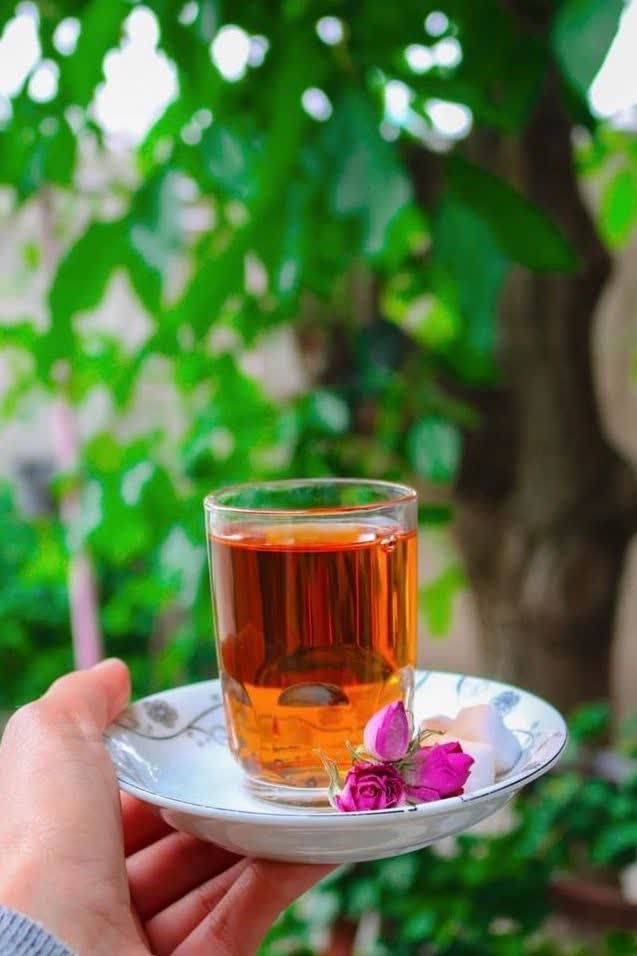 تصویر 1 از اهمیت حذف واسطه‌ها در خرید چای لاهیجان