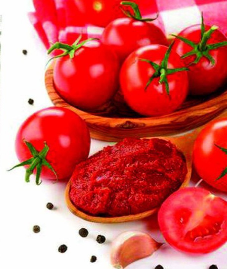 تصویر 1 از فروش رب گوجه فرنگی راغب با برند اختصاصی و بسته‌بندی سفارشی