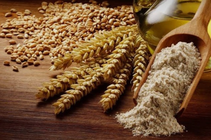 تصویر 4 از ۳. پودر جوانه گندم صادراتی؛ محصولی گیاهی برای سلامت روده