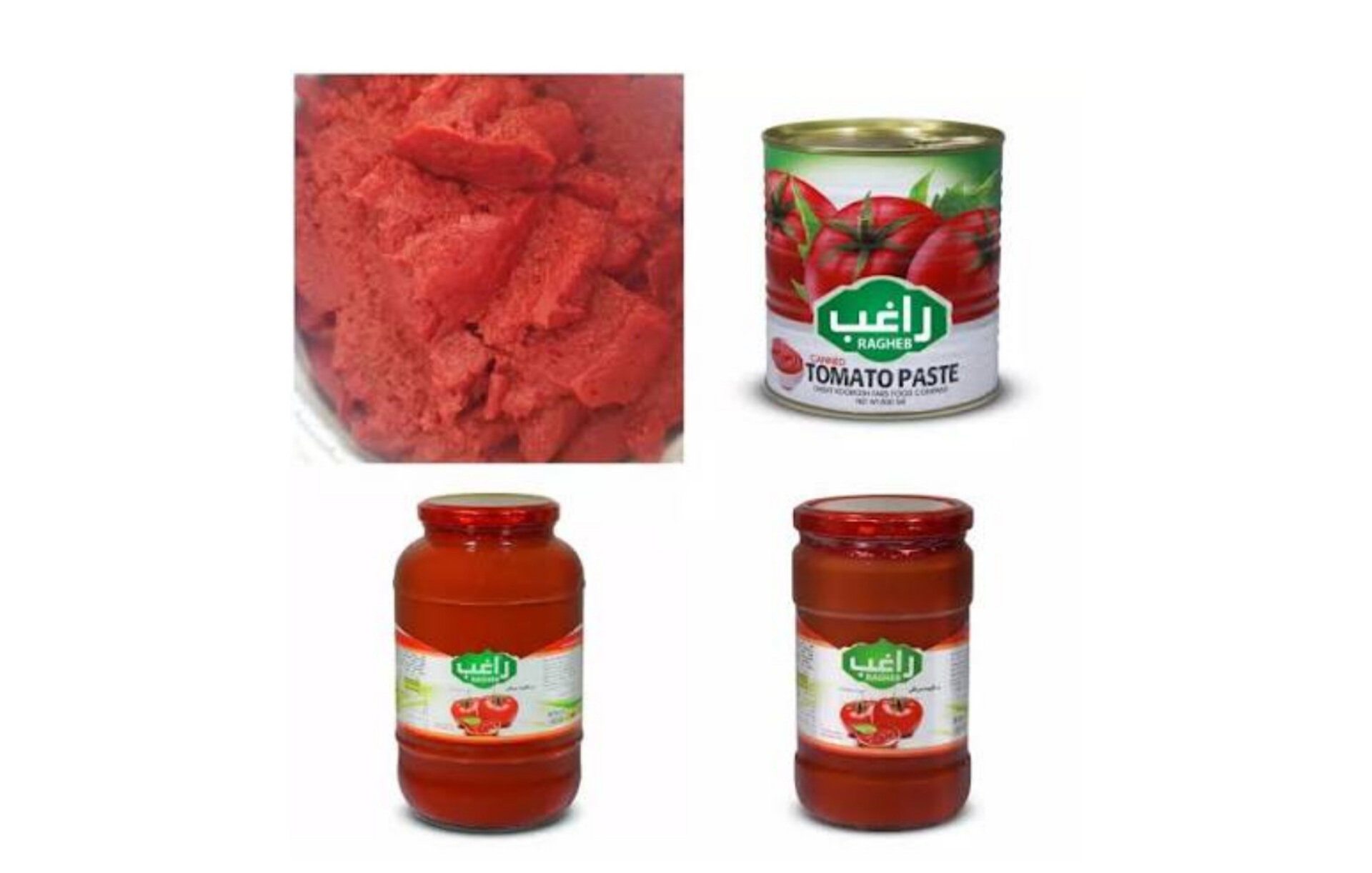 خرید عمده رب گوجه فرنگی راغب با بسته‌بندی متنوع صادراتی