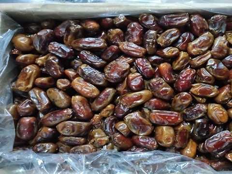 تصویر 2 از قیمت خرید خرما سایر درجه یک با فروش عمده
