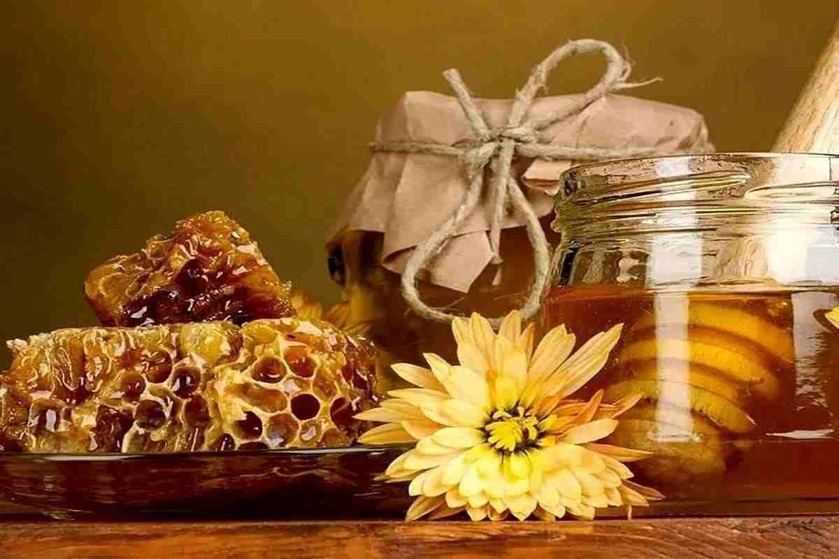 عسل وحشی کنار با طعم طبیعی و عطر گیاهان بومی