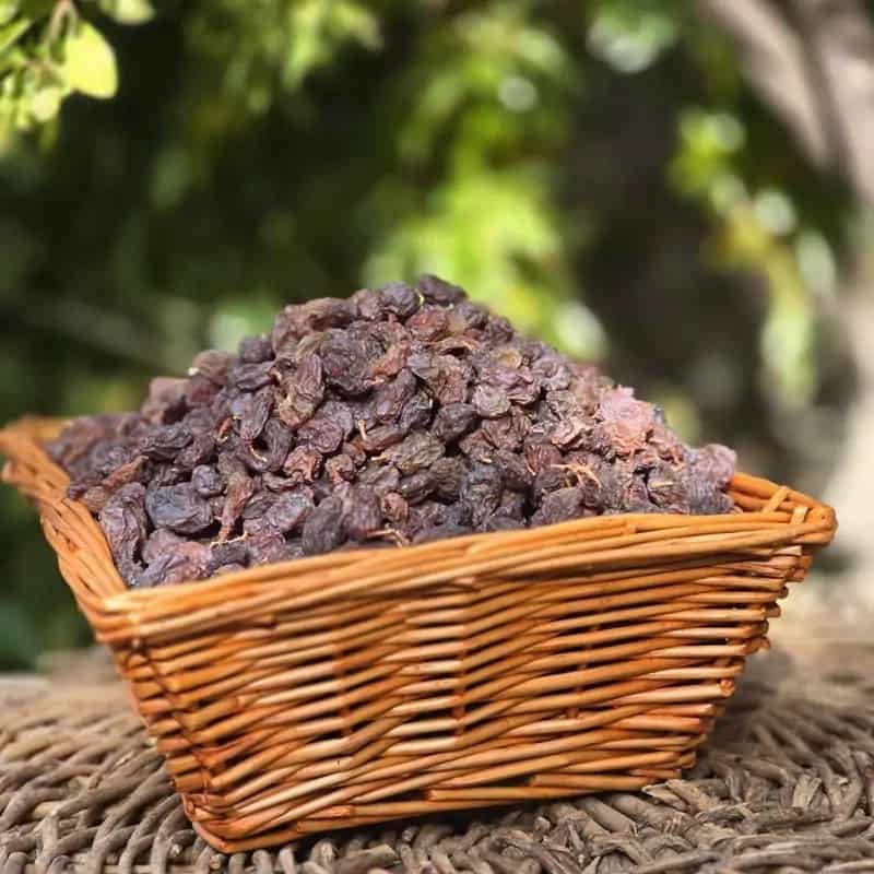 کشمش فخری