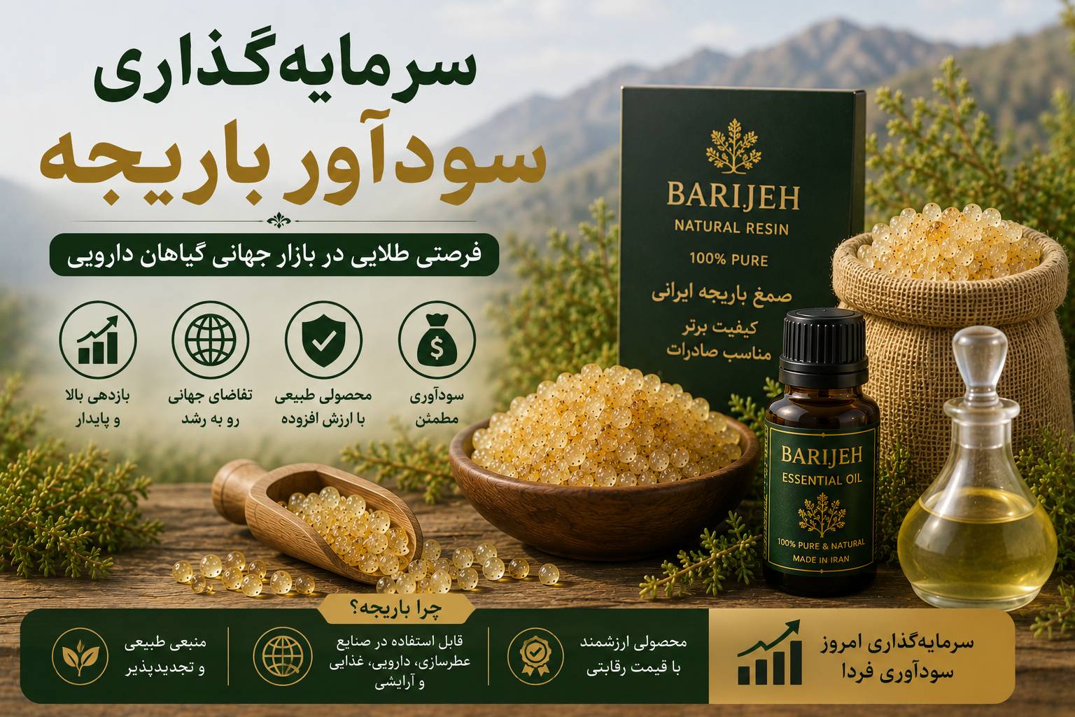 سرمایه‌گذاری سودآور باریجه