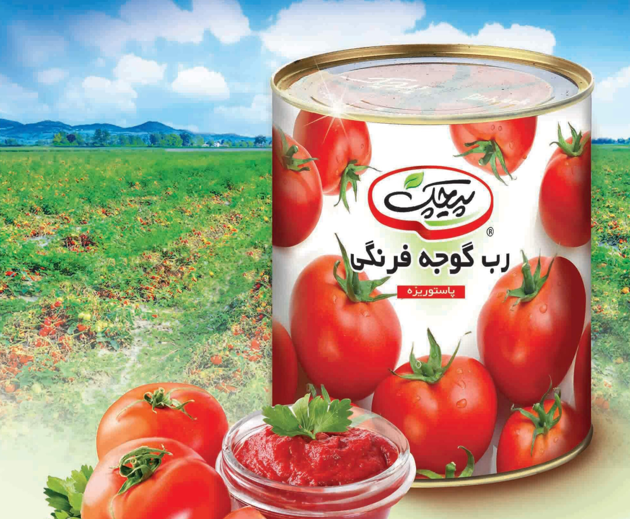 خرید رب گوجه فرنگی پیچک با بریکس استاندارد و رنگ طبیعی