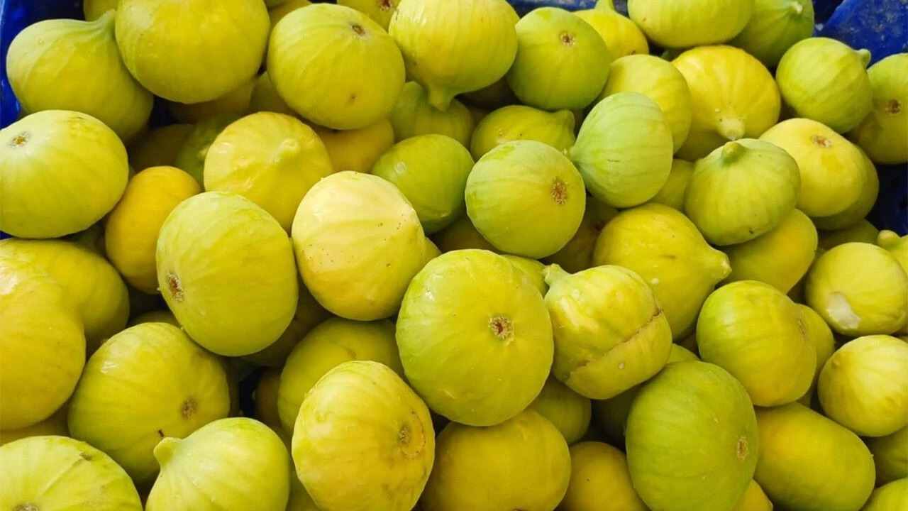 انجیر تازه برای دیابتی ها با شیرینی متعادل و بافت نرم