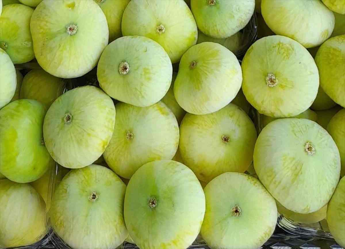 انجیر سفید عسلی با شیرینی خاص و بافت لطیف