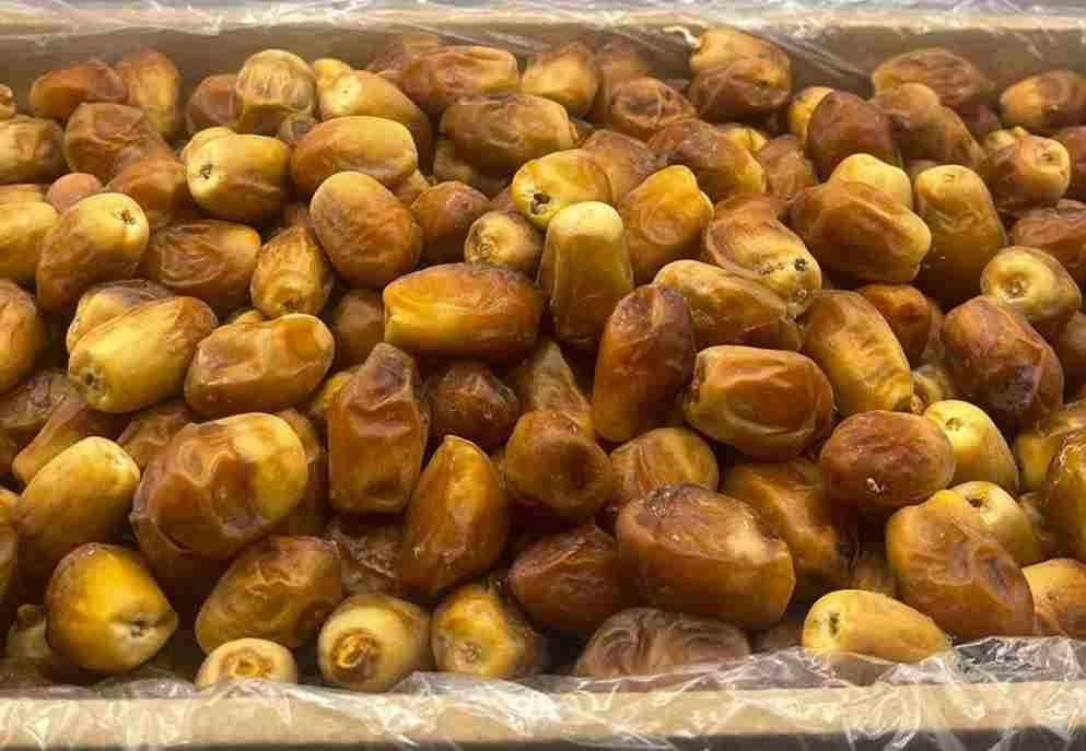 خرما زاهدی خارک با بافت تازه و شیرینی ملایم