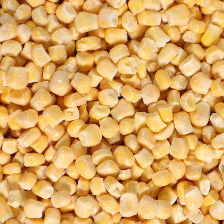 کنسرو ذرت شیرین تهیه شده از ذرت مرغوب