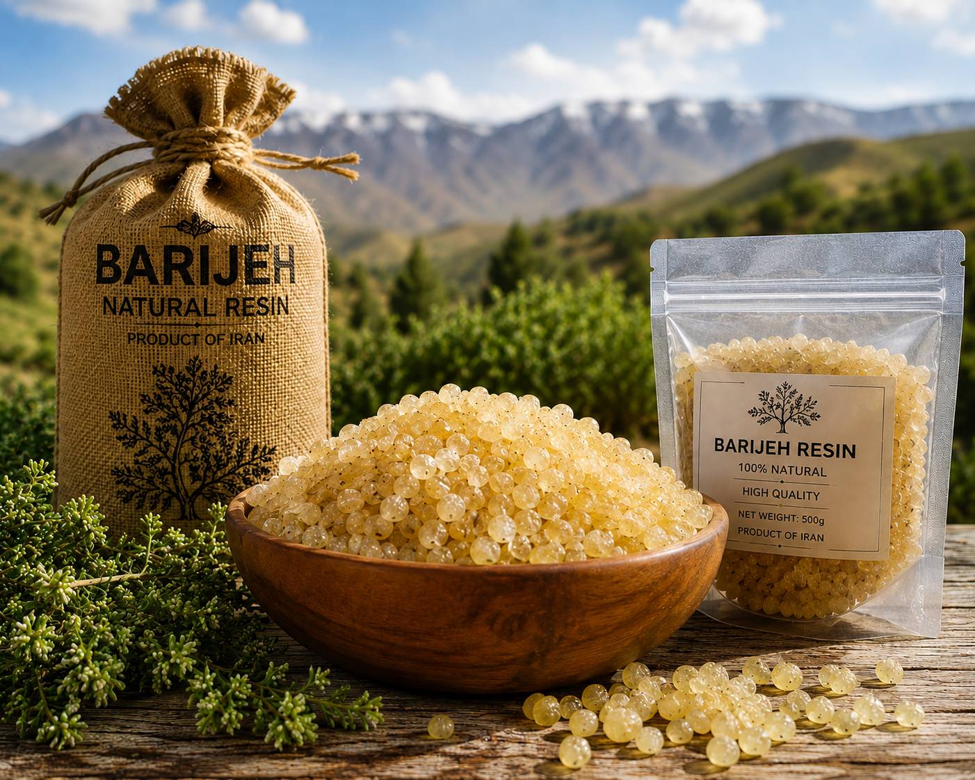 باریجه اصیل کوهستان ایران