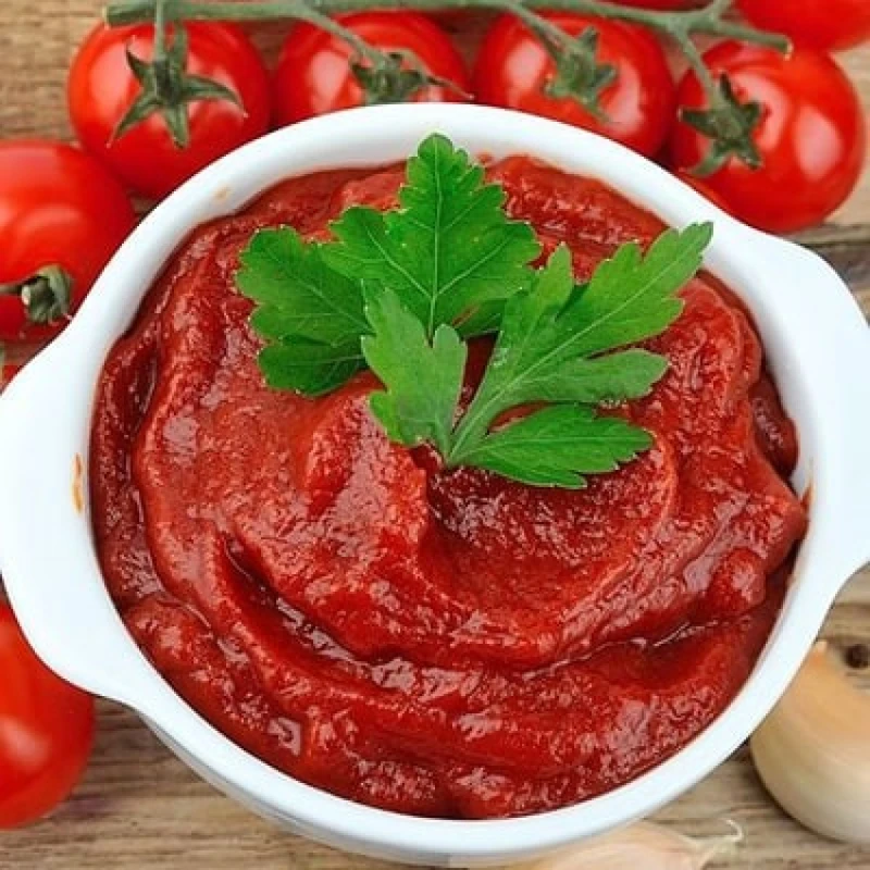 تصویر 1 از قيمت رب گوجه فرنگی  ملکیان مخصوص صادرات کیفیت جهانی