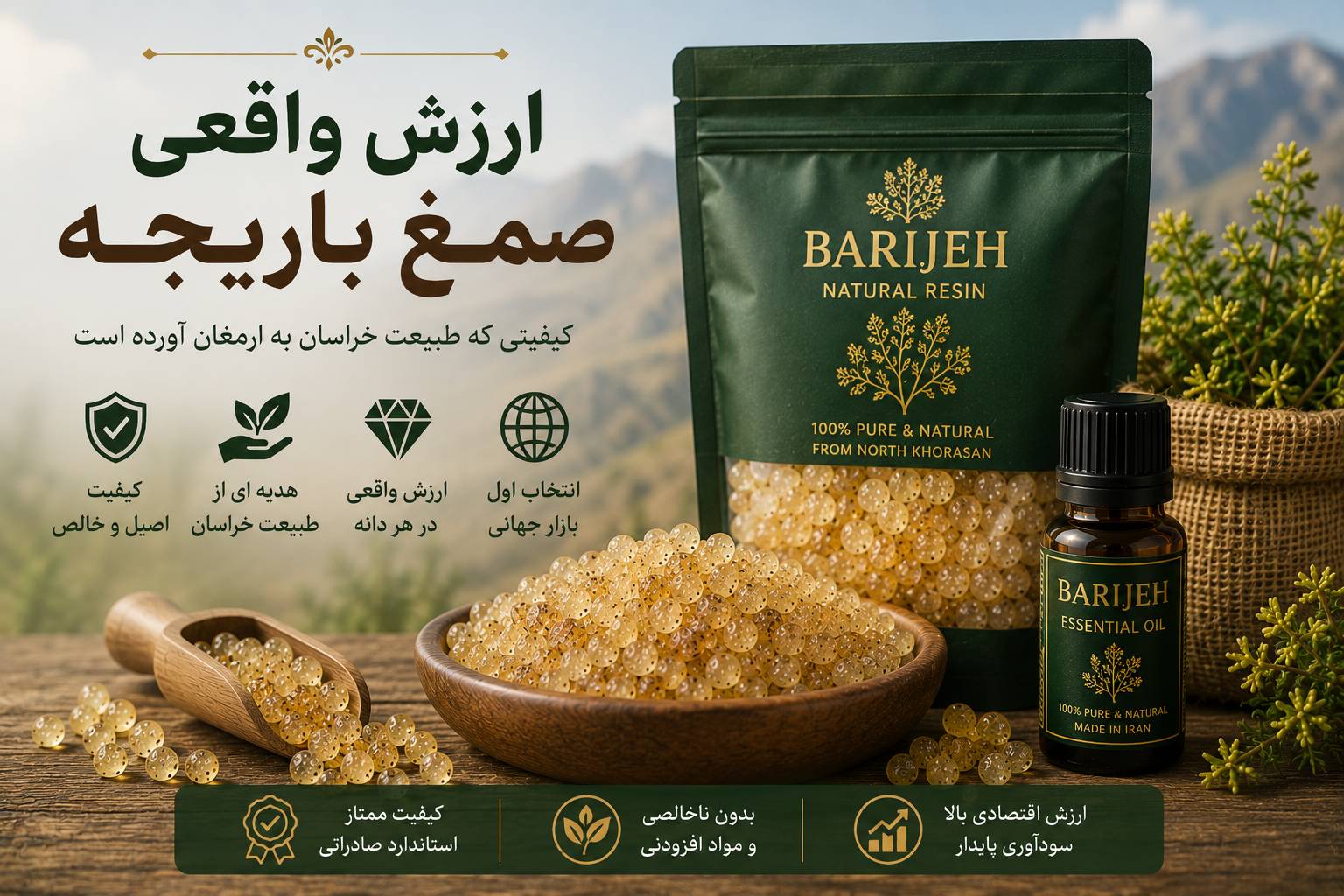 مسیر طلایی صادرات باریجه