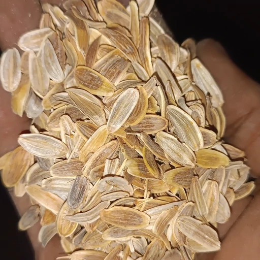 تصویر 1 از بذر باریجه آینده‌ ساز کشاورزی