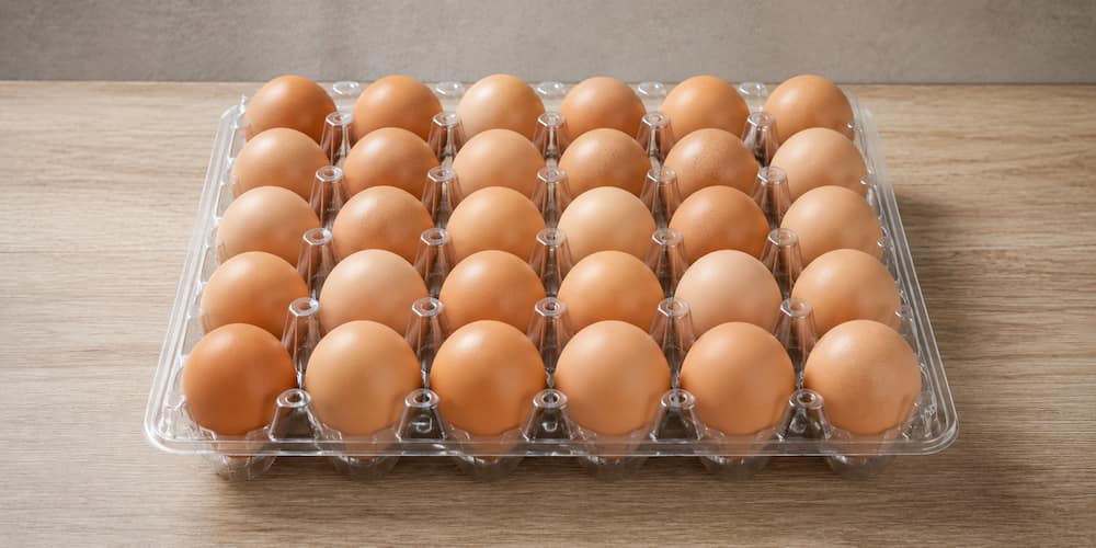 شانه تخم پلاستیکی با طراحی استاندارد و مستحکم
