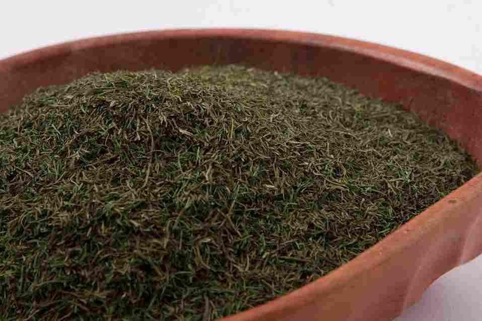 شوید خشک صحرا با عطر قوی و رنگ سبز طبیعی