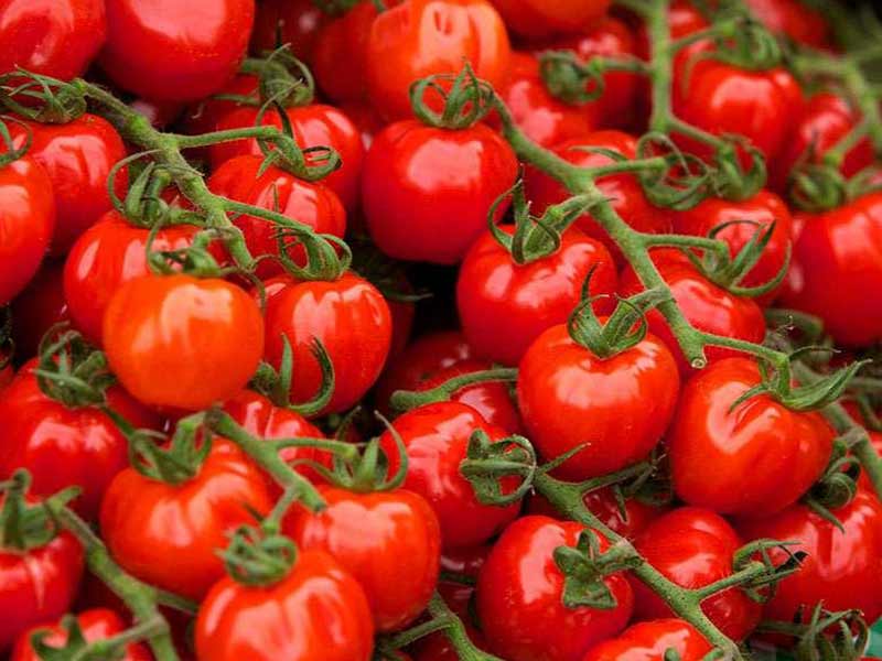 تصویر 3 از رب گوجه فرنگی تک محلات محصولی پرمایه با کیفیت مناسب برای پخت های طولانی