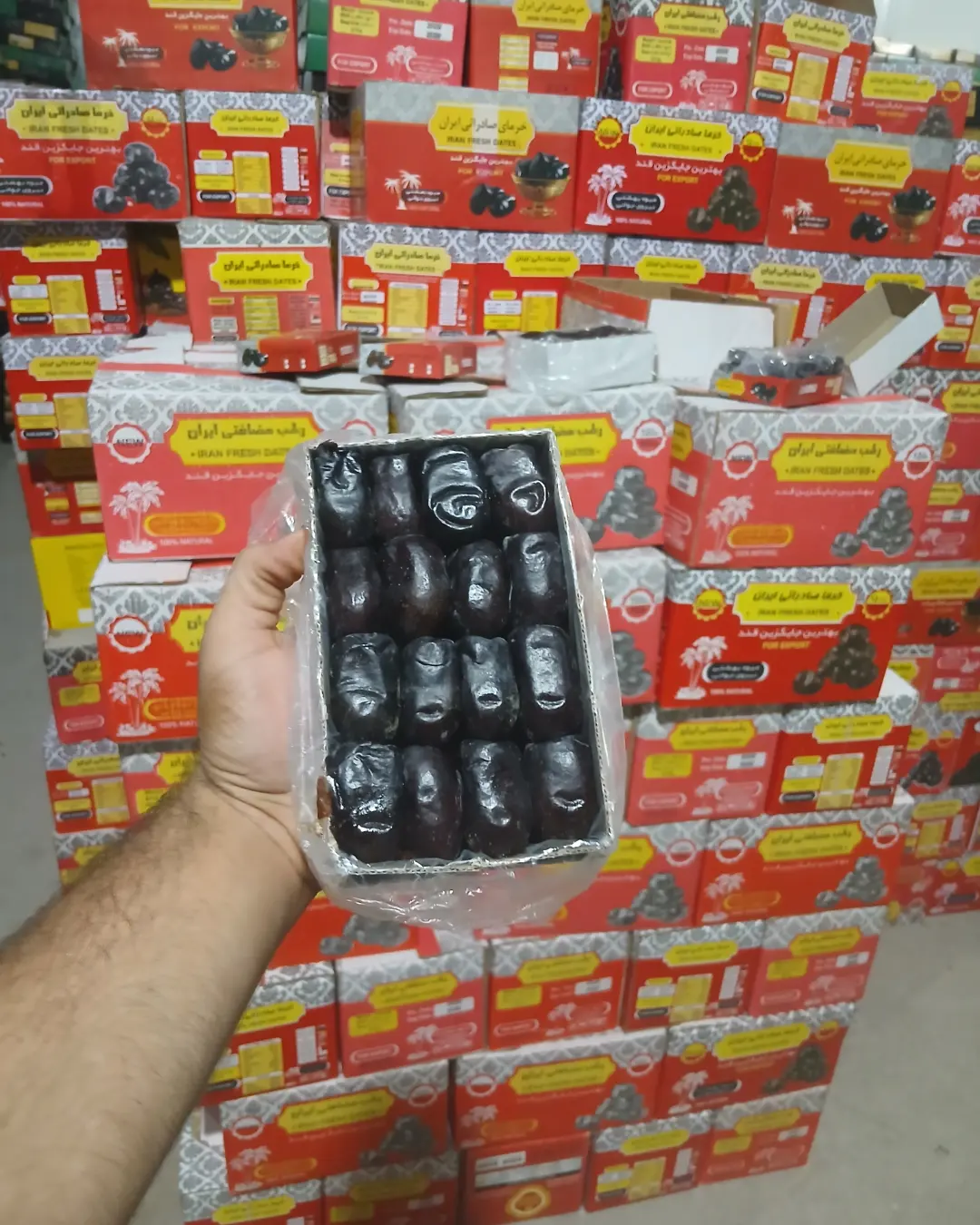 تأمین خرما مضافتی عمده به صورت مستمر