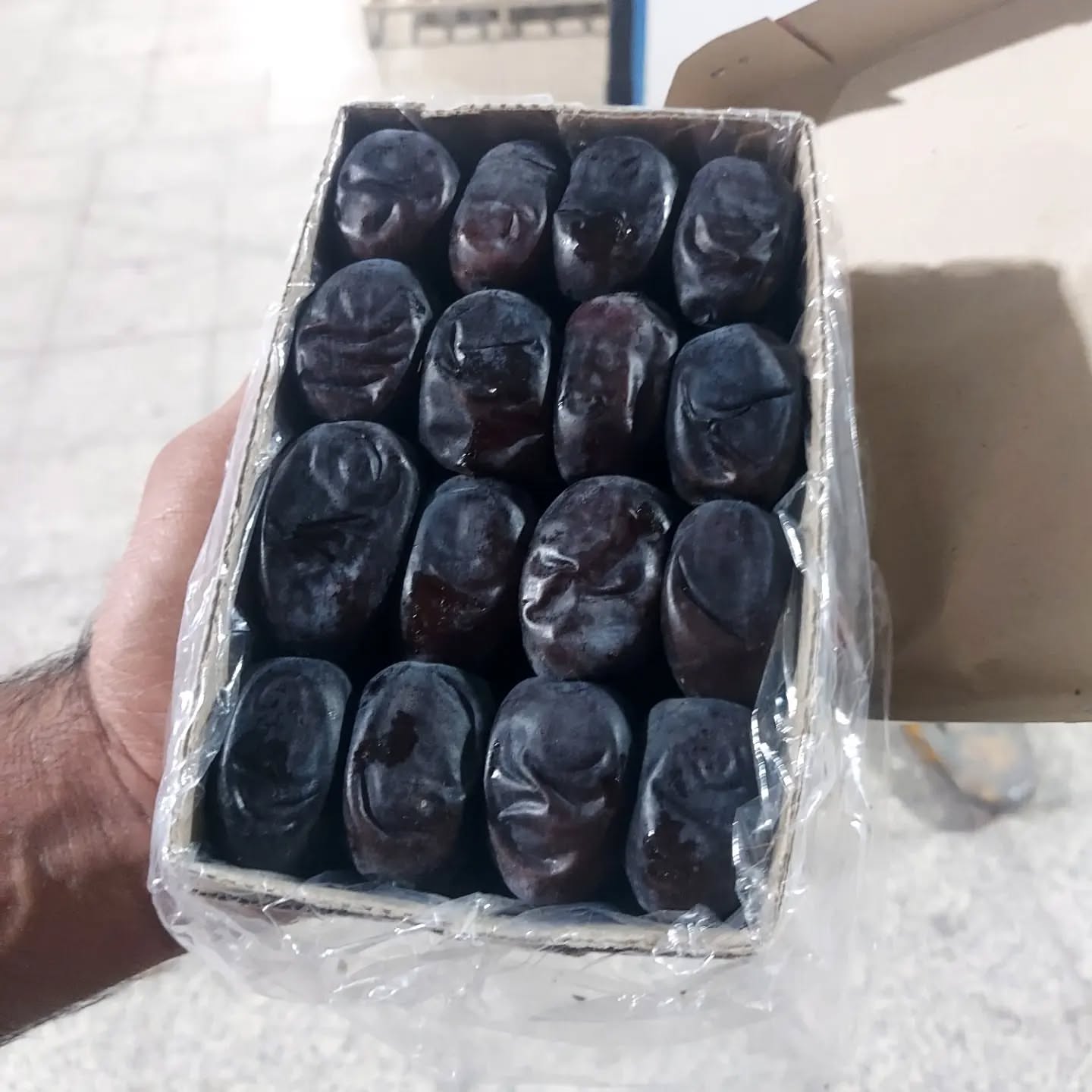 تصویر 3 از قیمت خرما مضافتی عمده امروز