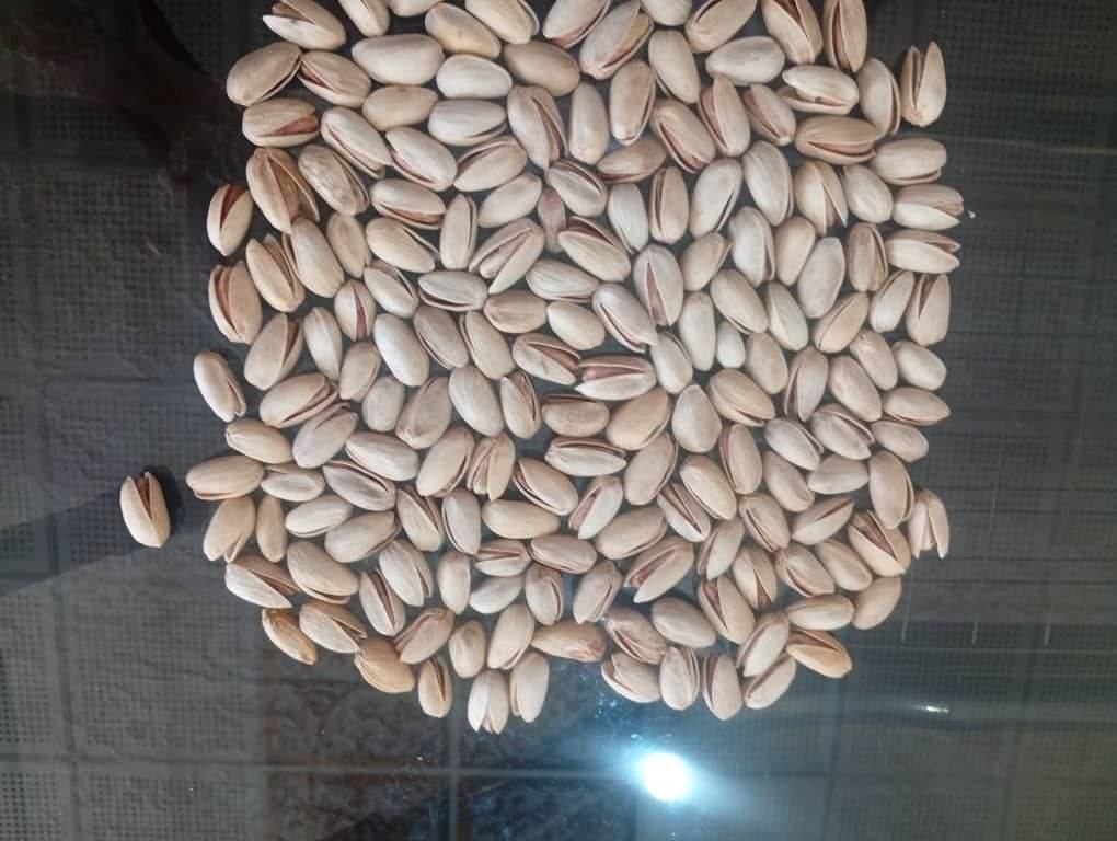تصویر 1 از قیمت مناسب پسته اکبری رفسنجان