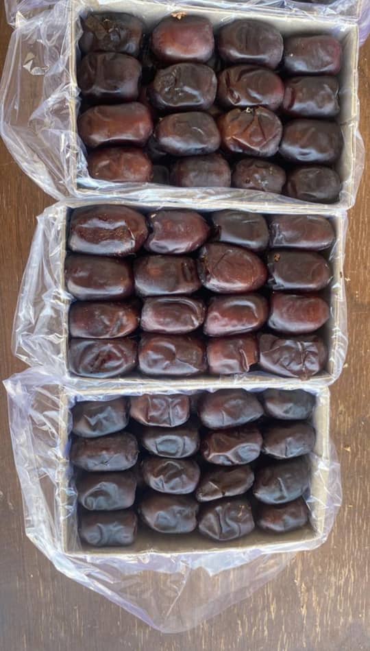 خرید خرما مضافتی برای صادرات