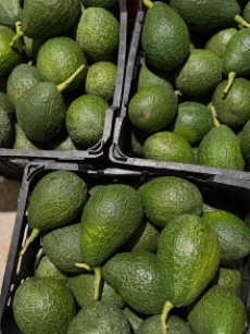 تصویر 2 از فروش عمده آووکادو وارداتی