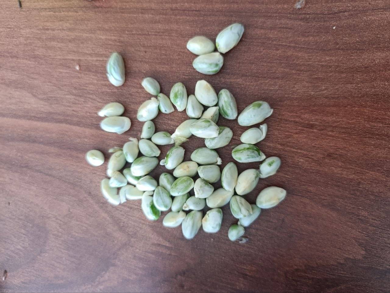 تصویر 1 از فروش مغز خوشه پسته خراسان از باغات جوین