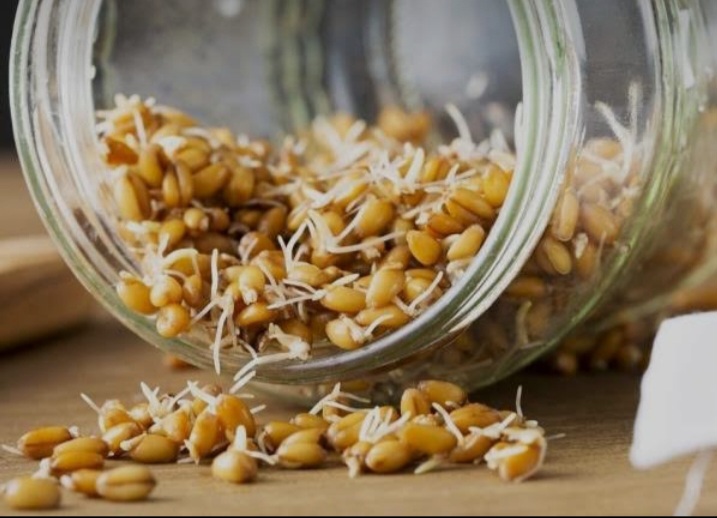 ارزش غذایی جوانه گندم
