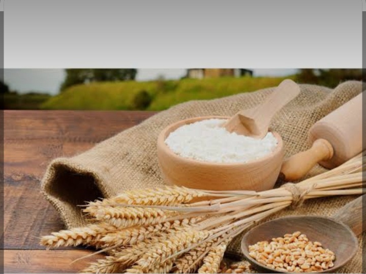 قیمت پودر جوانه گندم