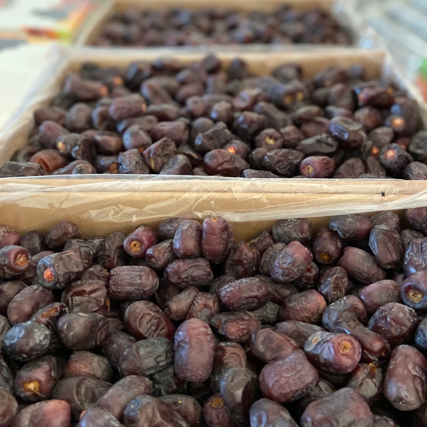 تصویر 5 از خرید مطمئن خرما مضافتی صادراتی با قیمت عمده